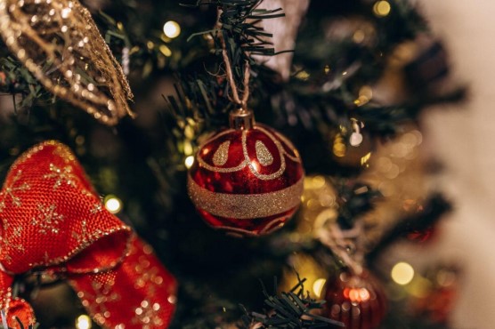 Christmas Clearance: Special Deals on Pencil Trees